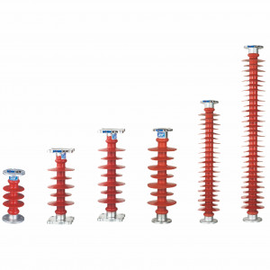 FZSϵ��֧����Ե��